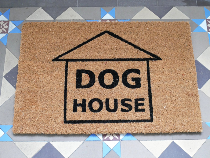 Dog House Door Mat