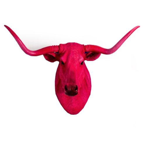 Pink Steer Wall Head