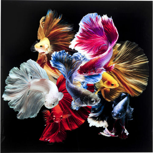Colorful Swarm Fish 120x120cm