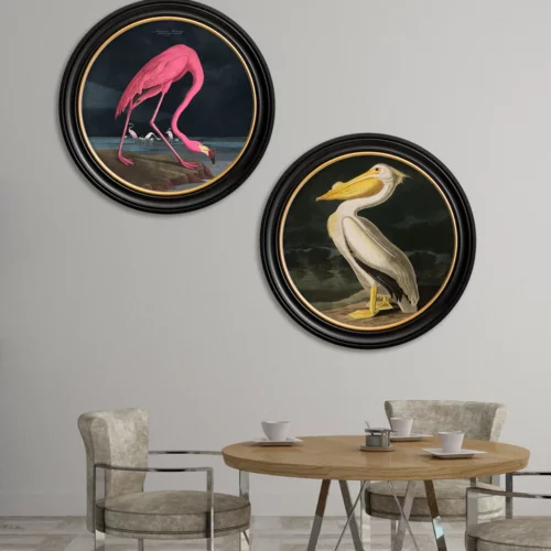 Audubon's Flamingo - Dark Round Frame