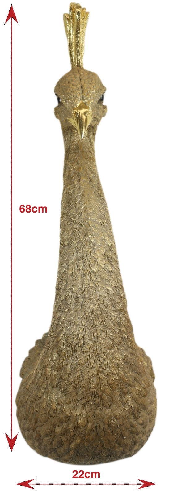Female Peacock Head 68cm