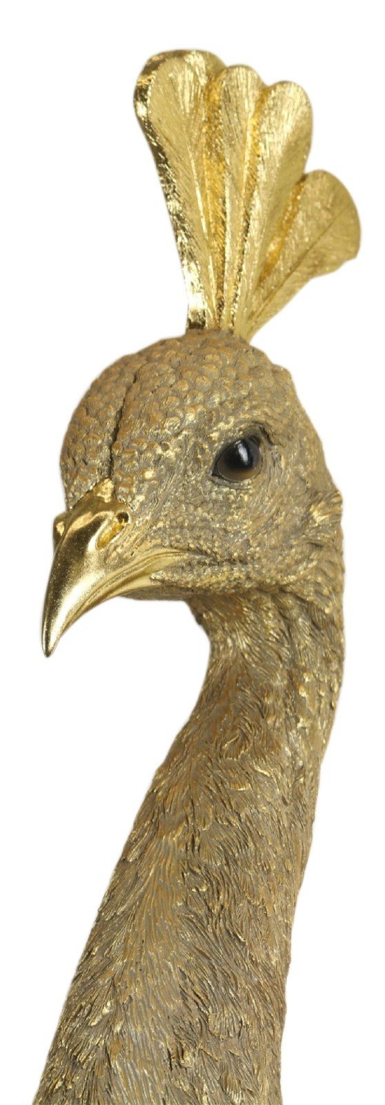 Female Peacock Head 68cm