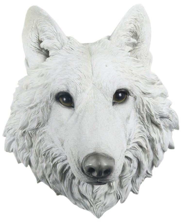 White Wolf Head 46.5cm