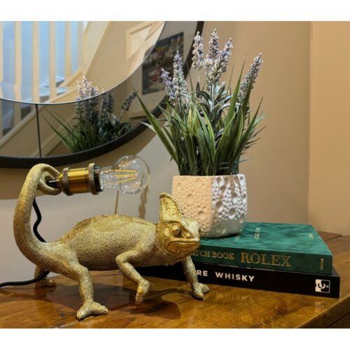 Chameleon Table / Desk Lamp